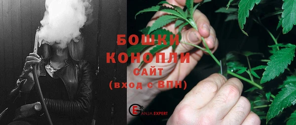 прущие грибы Нягань