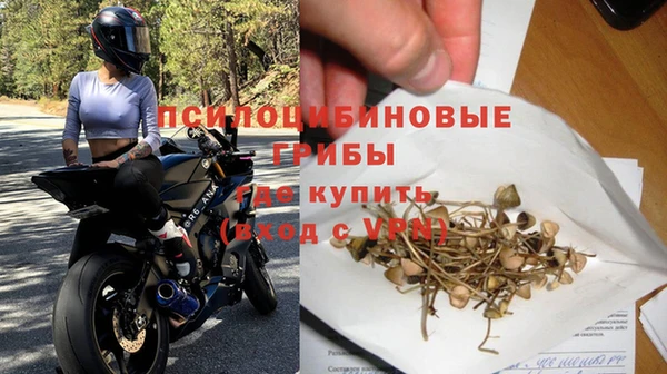 прущие грибы Нягань