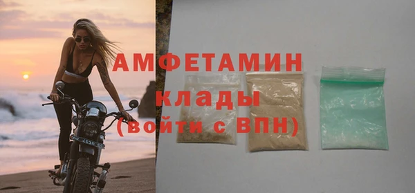 прущие грибы Нягань