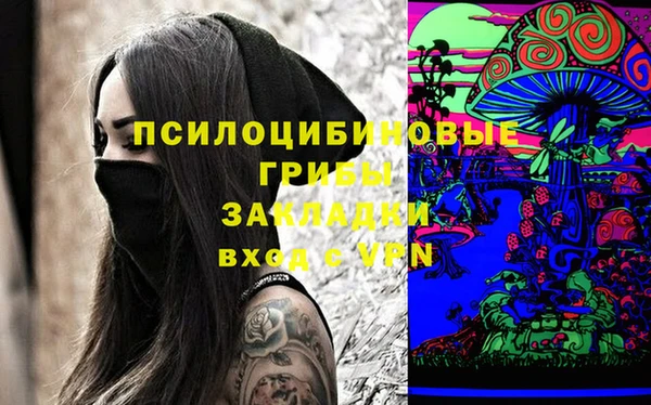 прущие грибы Нягань