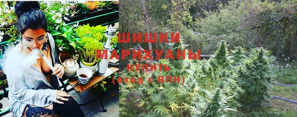 прущие грибы Нягань